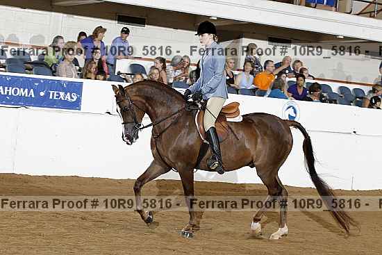 Proof Number 10r9_5816