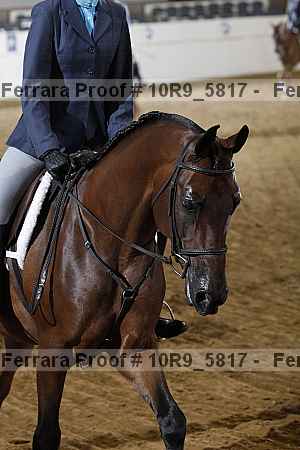 Proof Number 10r9_5817