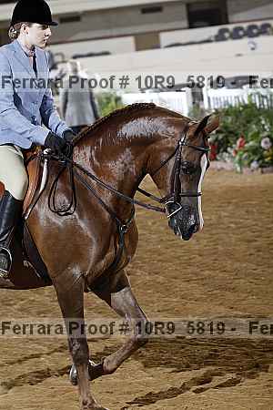 Proof Number 10r9_5819