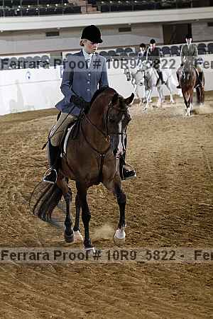 Proof Number 10r9_5822
