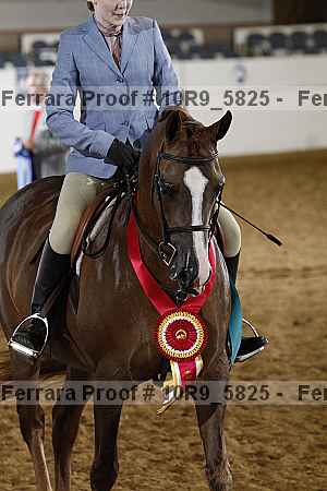 Proof Number 10r9_5825
