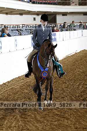 Proof Number 10r9_5826