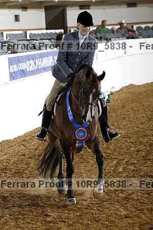 Proof Number 10r9_5838