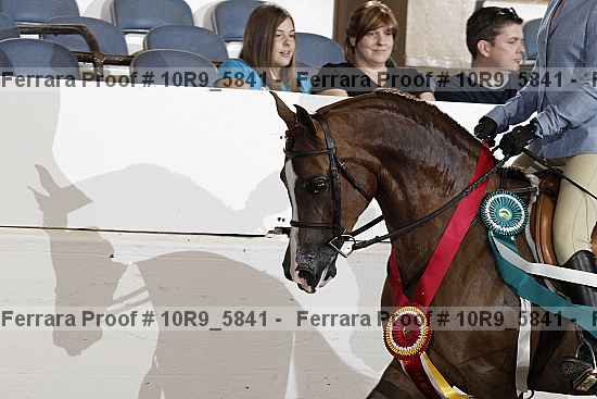 Proof Number 10r9_5841