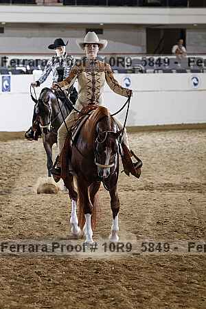 Proof Number 10r9_5849