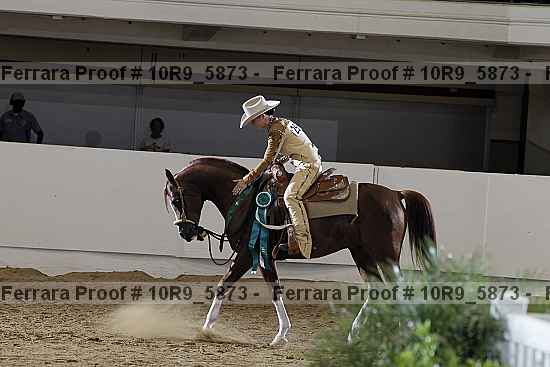 Proof Number 10r9_5873