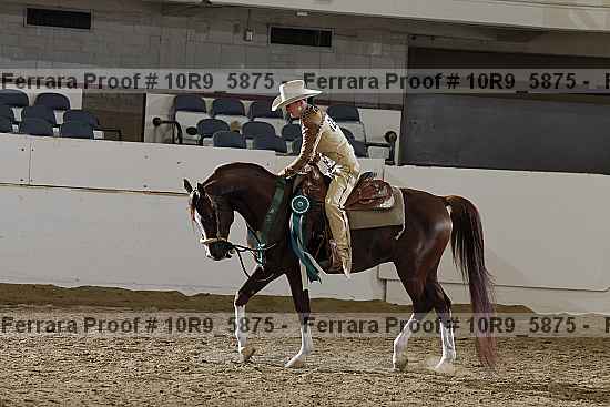 Proof Number 10r9_5875