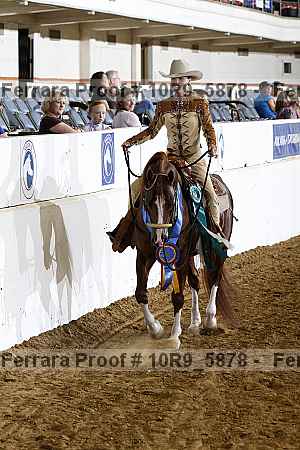 Proof Number 10r9_5878