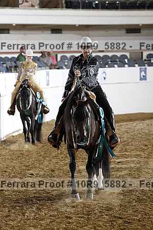Proof Number 10r9_5882