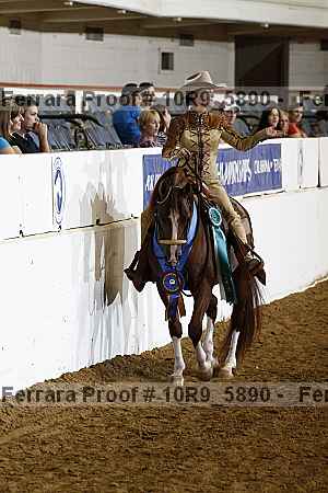 Proof Number 10r9_5890