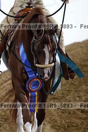 Proof Number 10r9_5893