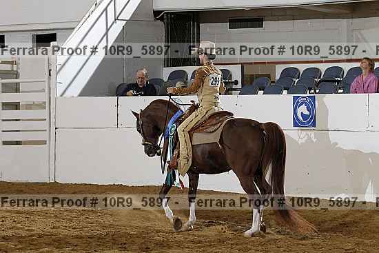 Proof Number 10r9_5897