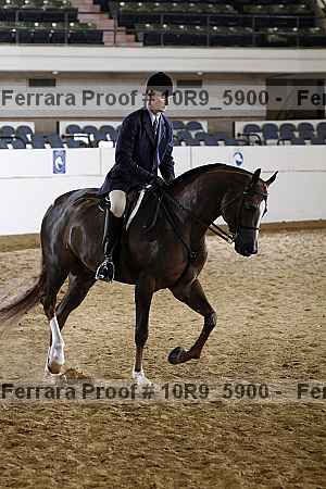 Proof Number 10r9_5900