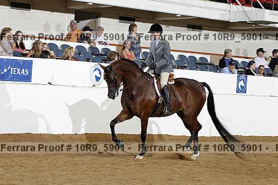 Proof Number 10r9_5901
