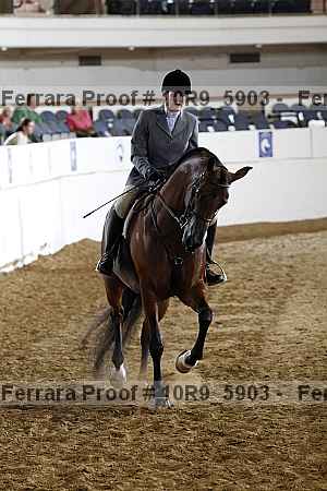 Proof Number 10r9_5903