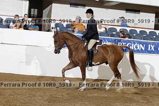 Proof Number 10r9_5919