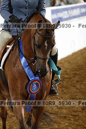 Proof Number 10r9_5930