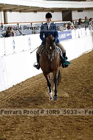 Proof Number 10r9_5933