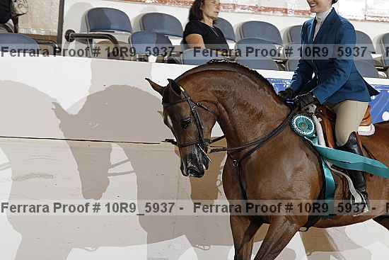 Proof Number 10r9_5937