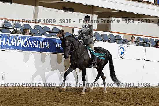 Proof Number 10r9_5938