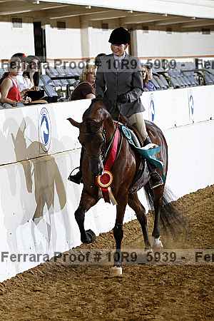 Proof Number 10r9_5939