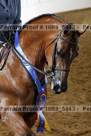 Proof Number 10r9_5943