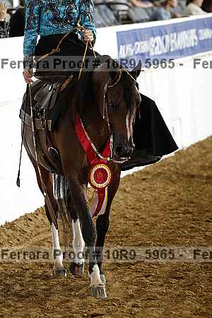 Proof Number 10r9_5965