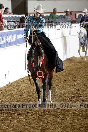 Proof Number 10r9_5975