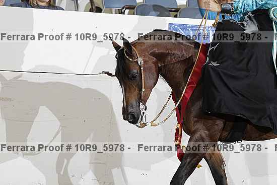 Proof Number 10r9_5978