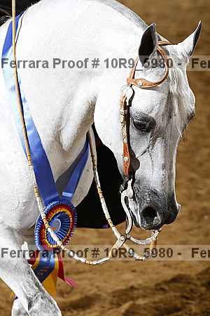Proof Number 10r9_5980