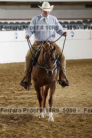 Proof Number 10r9_5990
