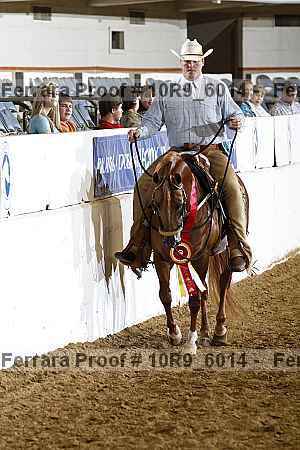 Proof Number 10r9_6014