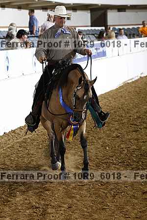 Proof Number 10r9_6018