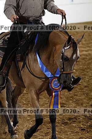 Proof Number 10r9_6020