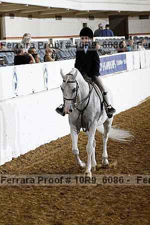 Proof Number 10r9_6086