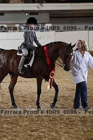 Proof Number 10r9_6096