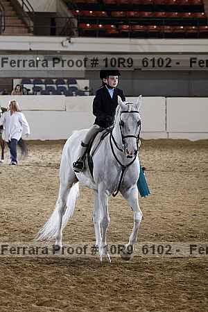 Proof Number 10r9_6102