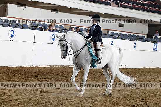 Proof Number 10r9_6103
