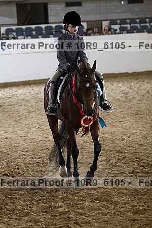 Proof Number 10r9_6105