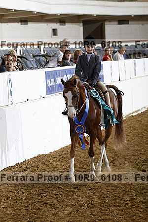 Proof Number 10r9_6108