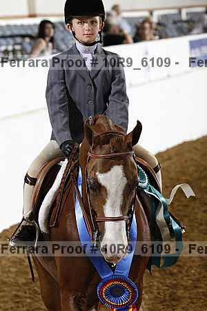 Proof Number 10r9_6109