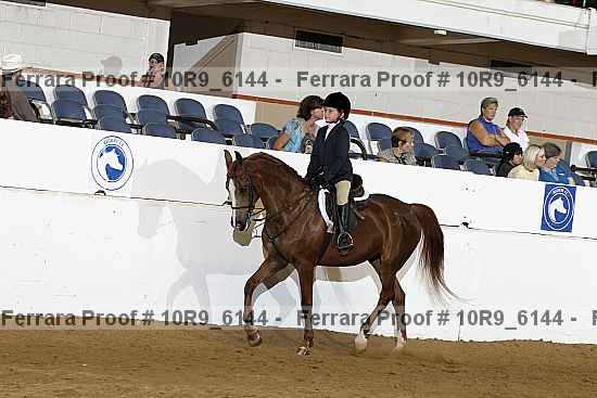 Proof Number 10r9_6144