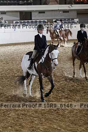 Proof Number 10r9_6146