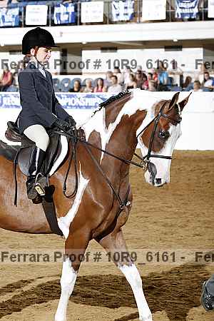 Proof Number 10r9_6161
