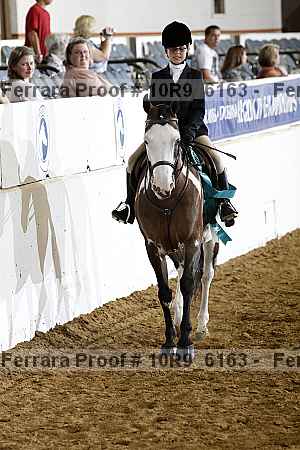 Proof Number 10r9_6163