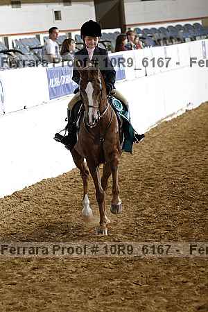Proof Number 10r9_6167