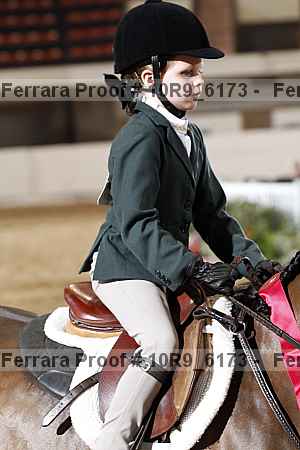 Proof Number 10r9_6173