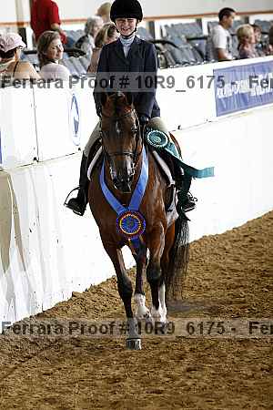Proof Number 10r9_6175