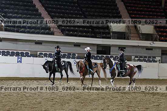 Proof Number 10r9_6262
