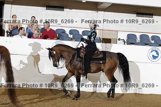 Proof Number 10r9_6269